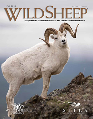 Fall Wild Sheep Cover